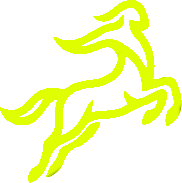 CentaurNexus Logo